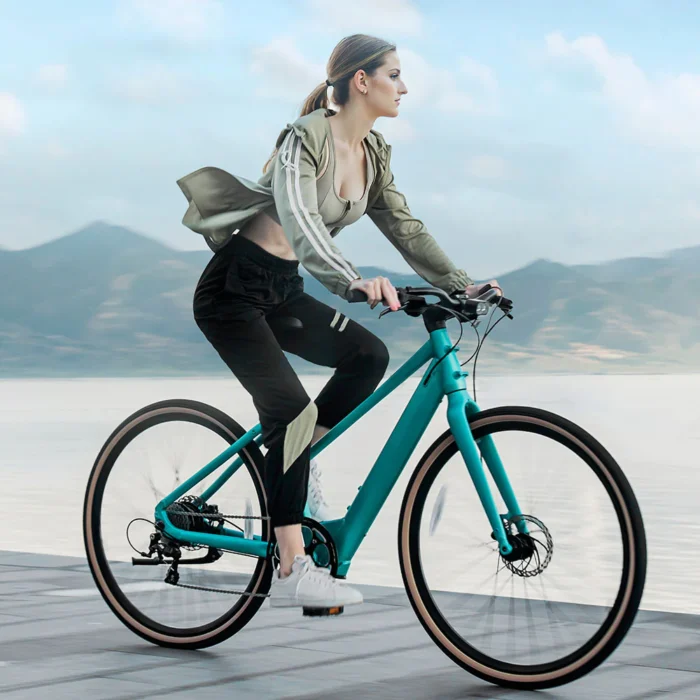 Fiido C22 - Gravel Vélo électrique Léger2