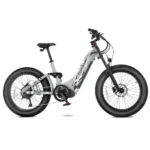 VTC Électrique Cyrusher Trax L’hybride