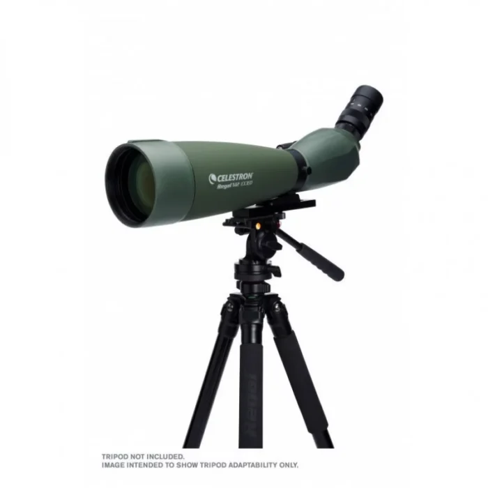 Longue-vue-Regal-M2-22-67x100-ED-CELESTRON-7.webp Longue-vue-Regal-M2-22-67x100-ED-CELESTRON-7.webp